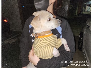 대전동물보호센터_430366202500185